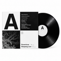 The Fawn - Branches (LP Black)